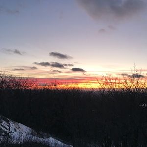 Meet your Posher, Mallory